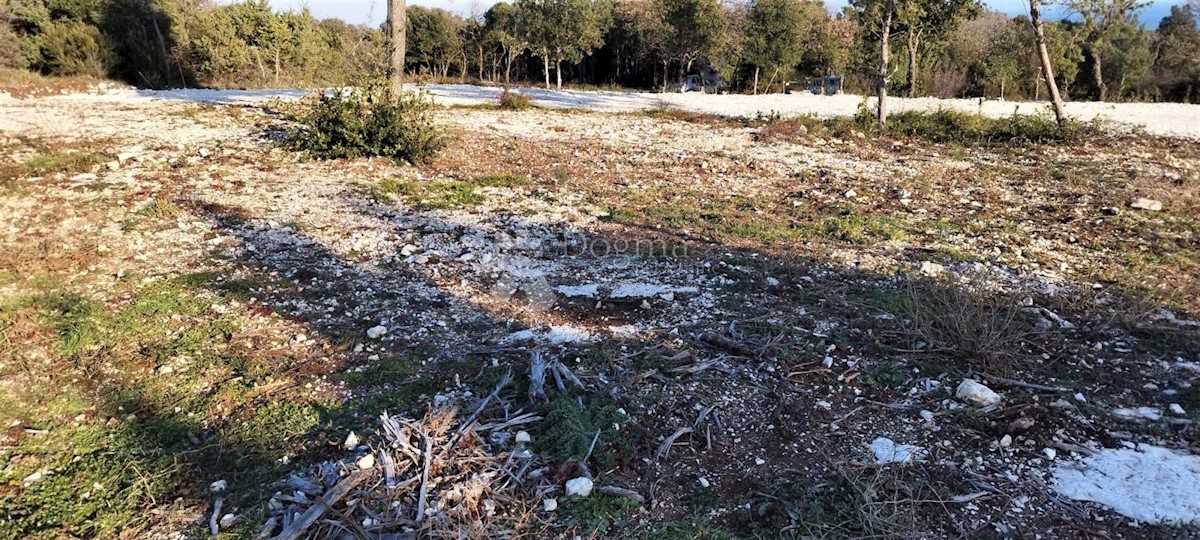 TERRENO EDIFICABILE CON VISTA MARE