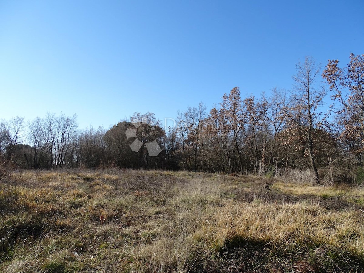 Terreno Žikovići, Višnjan, 4.311m2