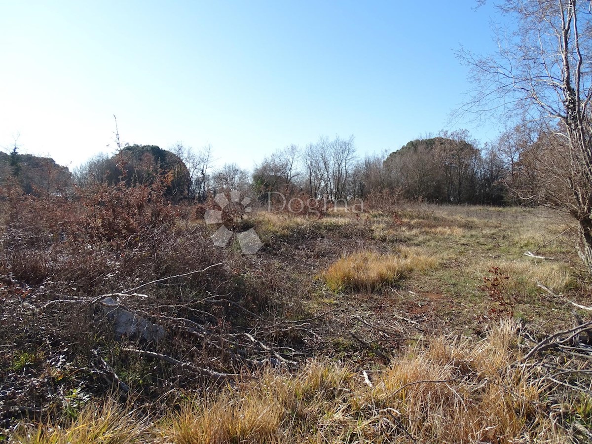 Terreno Žikovići, Višnjan, 4.311m2