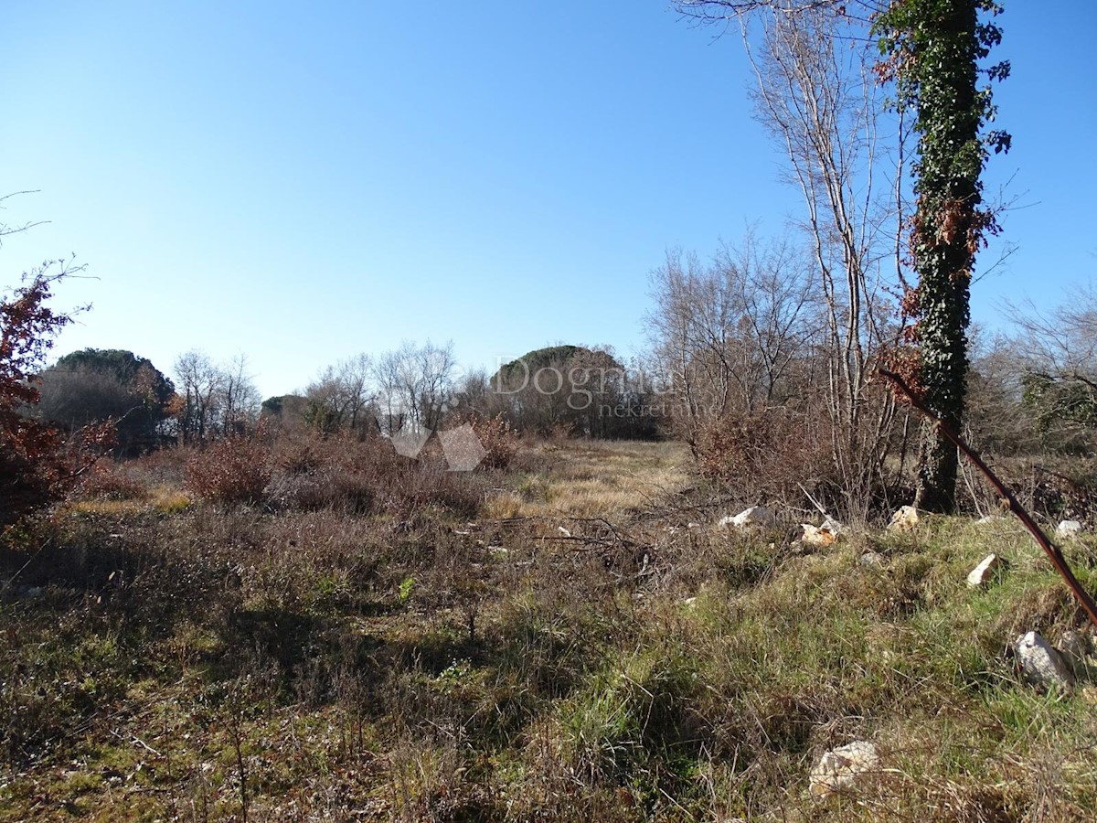 Terreno Žikovići, Višnjan, 4.311m2