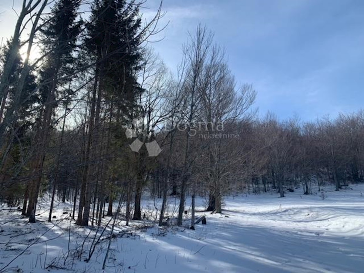 Terreno Bribir, Vinodolska Općina, 2.930m2