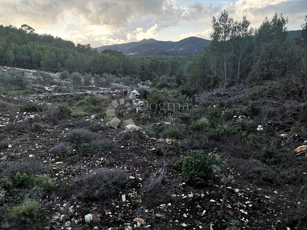 Terreno Čara, Korčula, 2.800m2