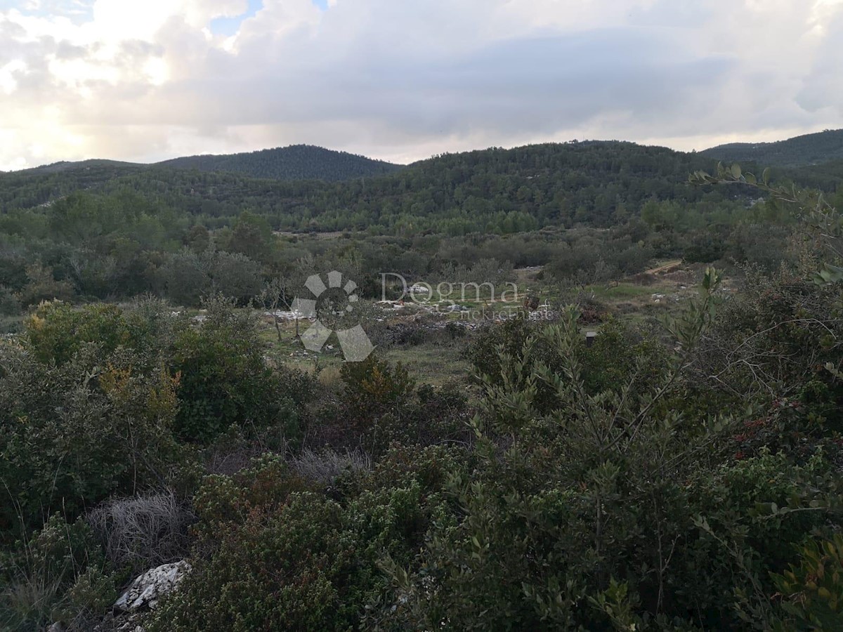 Terreno Čara, Korčula, 2.800m2