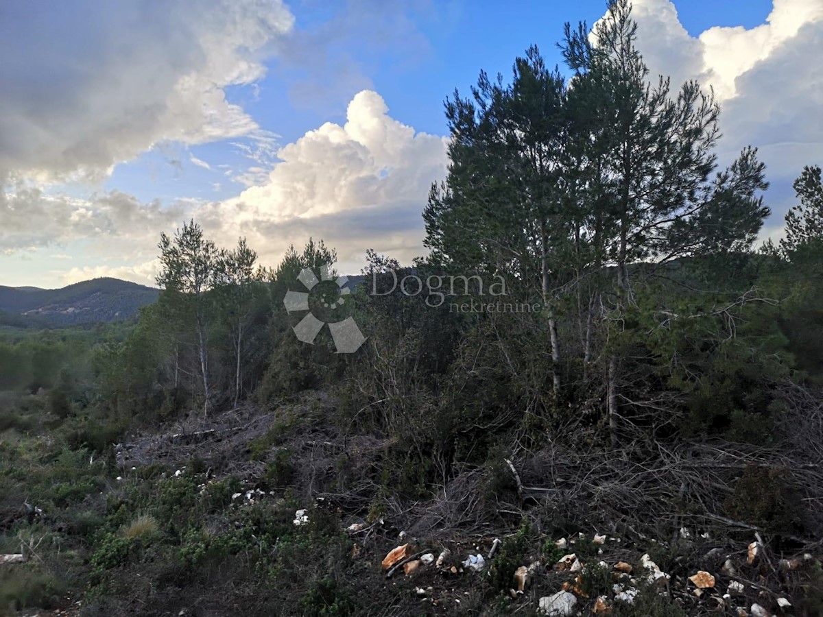 Terreno Čara, Korčula, 2.800m2