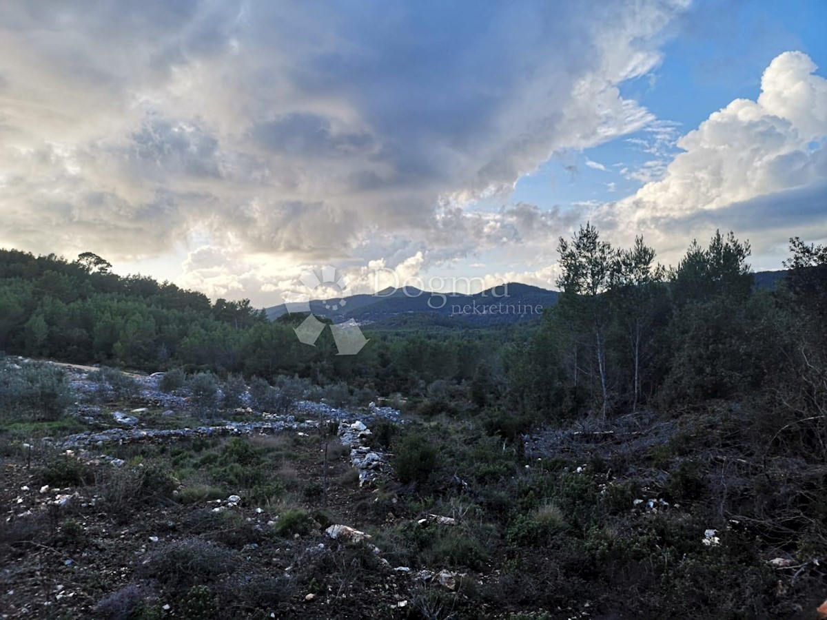 Terreno Čara, Korčula, 2.800m2