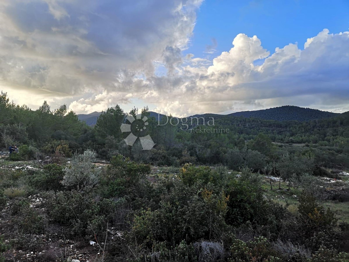 Terreno Čara, Korčula, 2.800m2