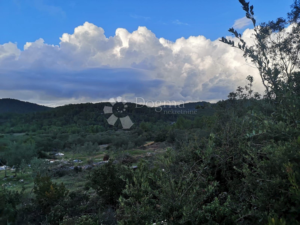 Terreno Čara, Korčula, 2.800m2