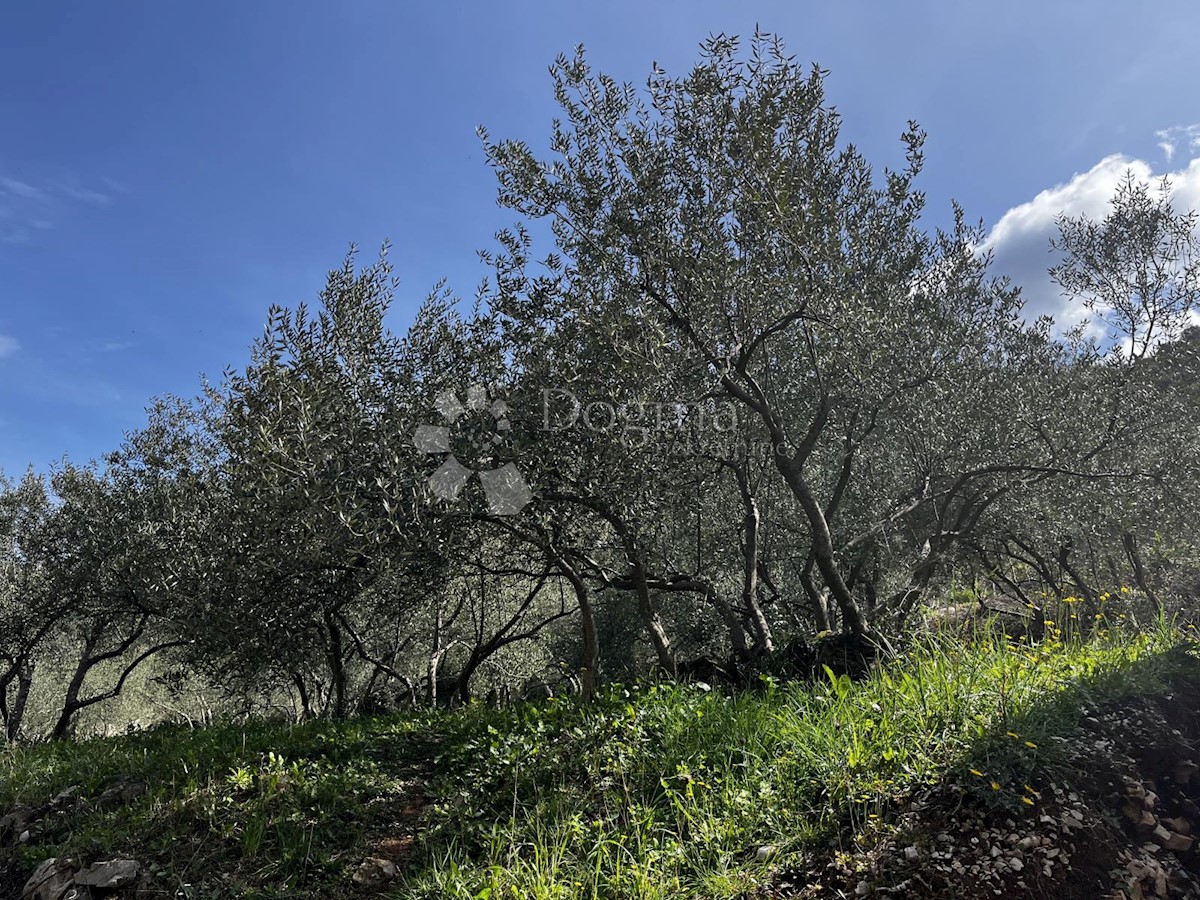 Terreno Trpanj, 1.230m2