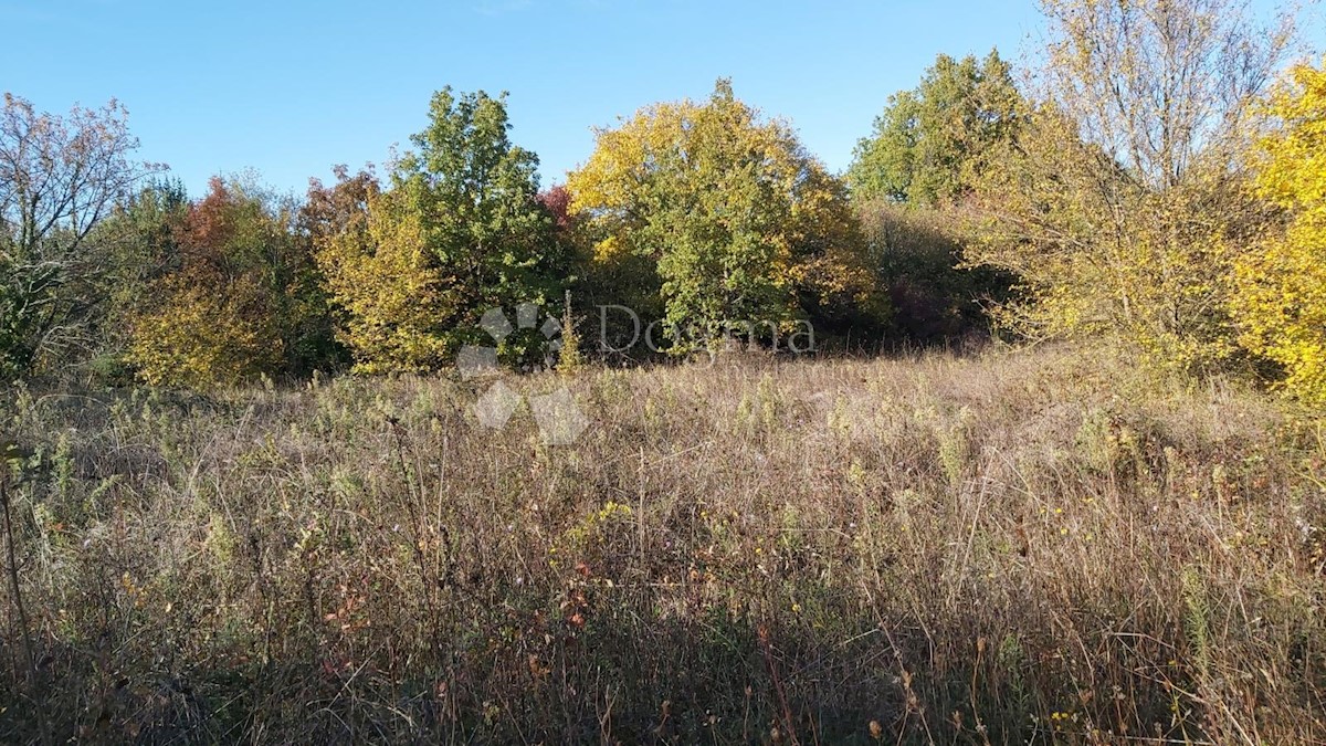 Terreno Valbandon, Fažana, 991m2