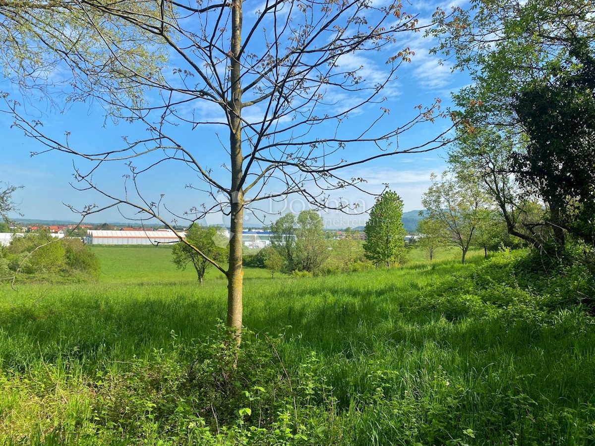 Terreno Novaki, Sveta Nedelja, 3.978m2