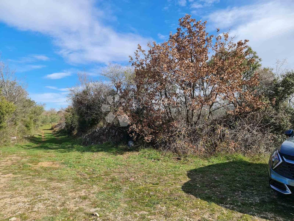 Terreno Fažana, 3.170m2