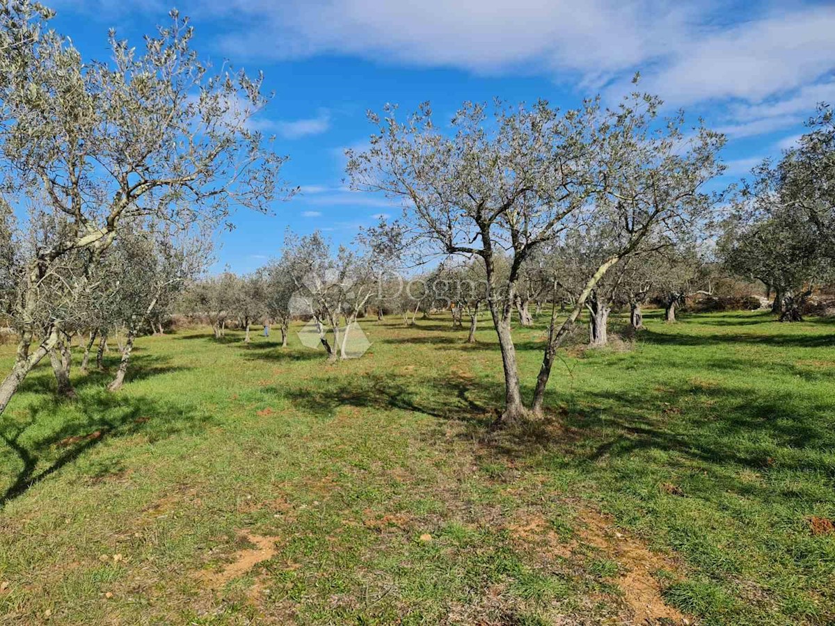 Terreno Fažana, 3.170m2