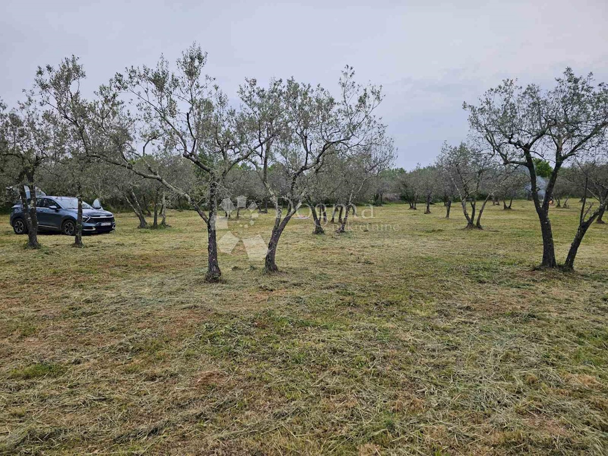 Terreno Fažana, 3.170m2