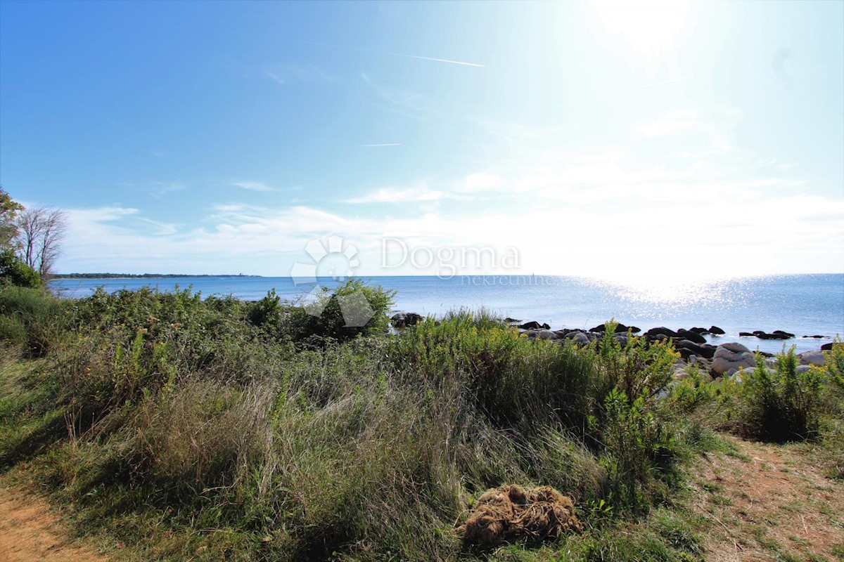 Terreno Umag, 6.183m2