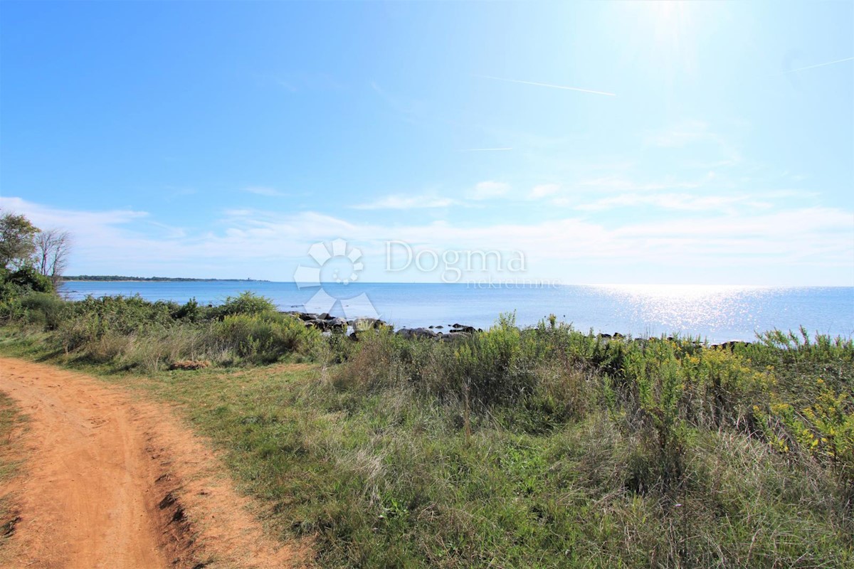 Terreno Umag, 6.183m2