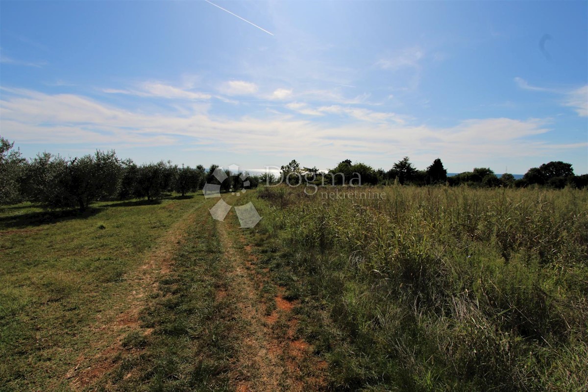 Terreno Umag, 6.183m2