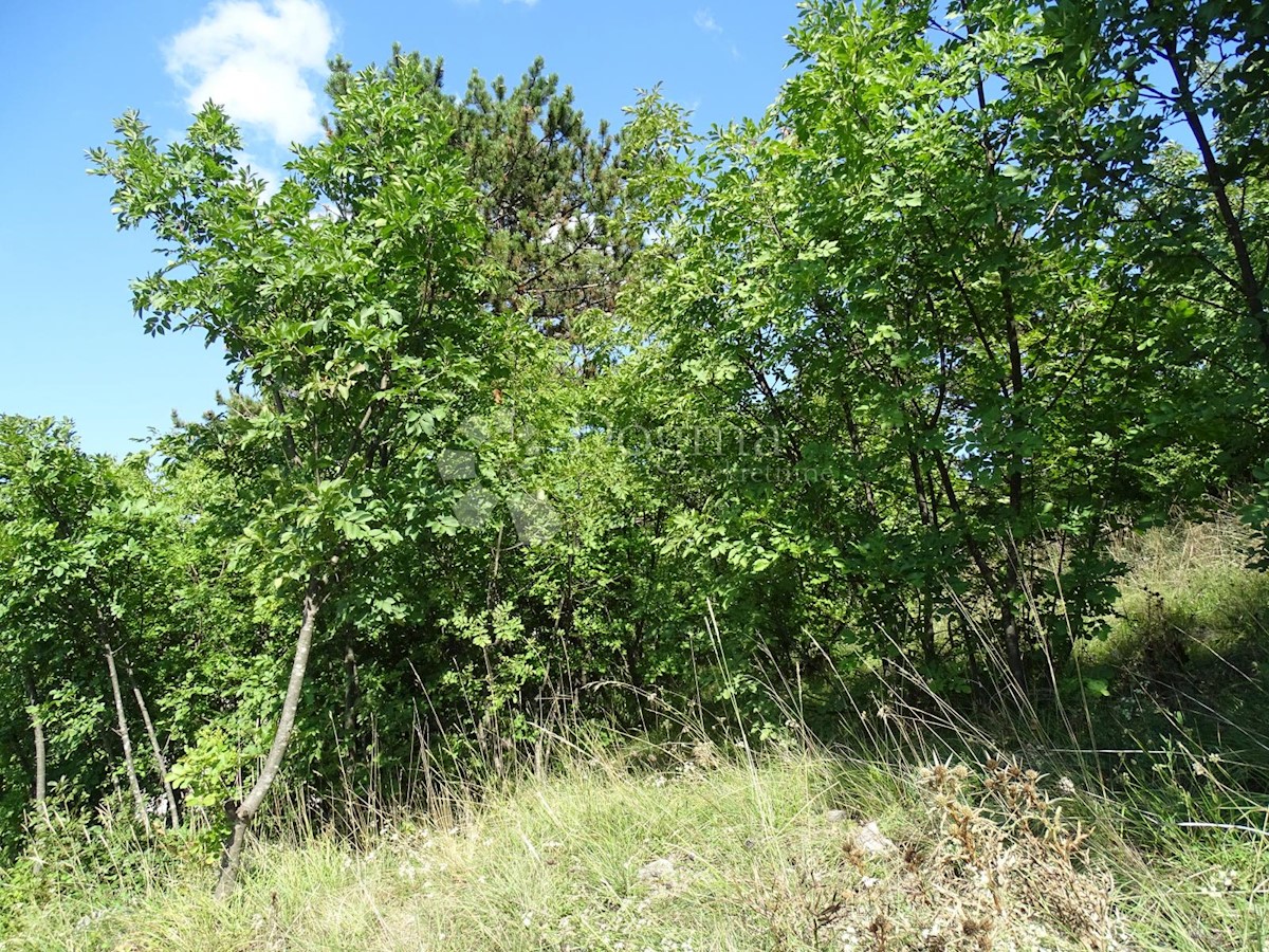 Terreno Cernik, Čavle, 1.017m2