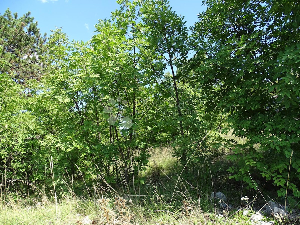 Terreno Cernik, Čavle, 1.017m2