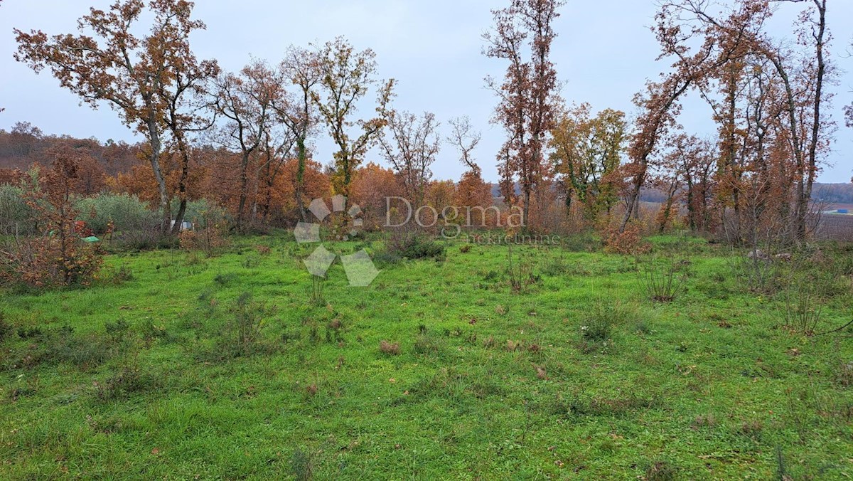 Terreno Funtana, 35.000m2