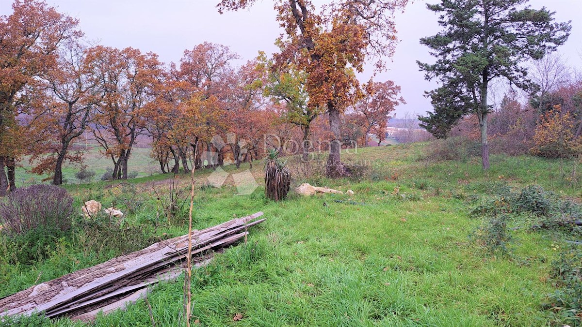 Terreno Funtana, 35.000m2