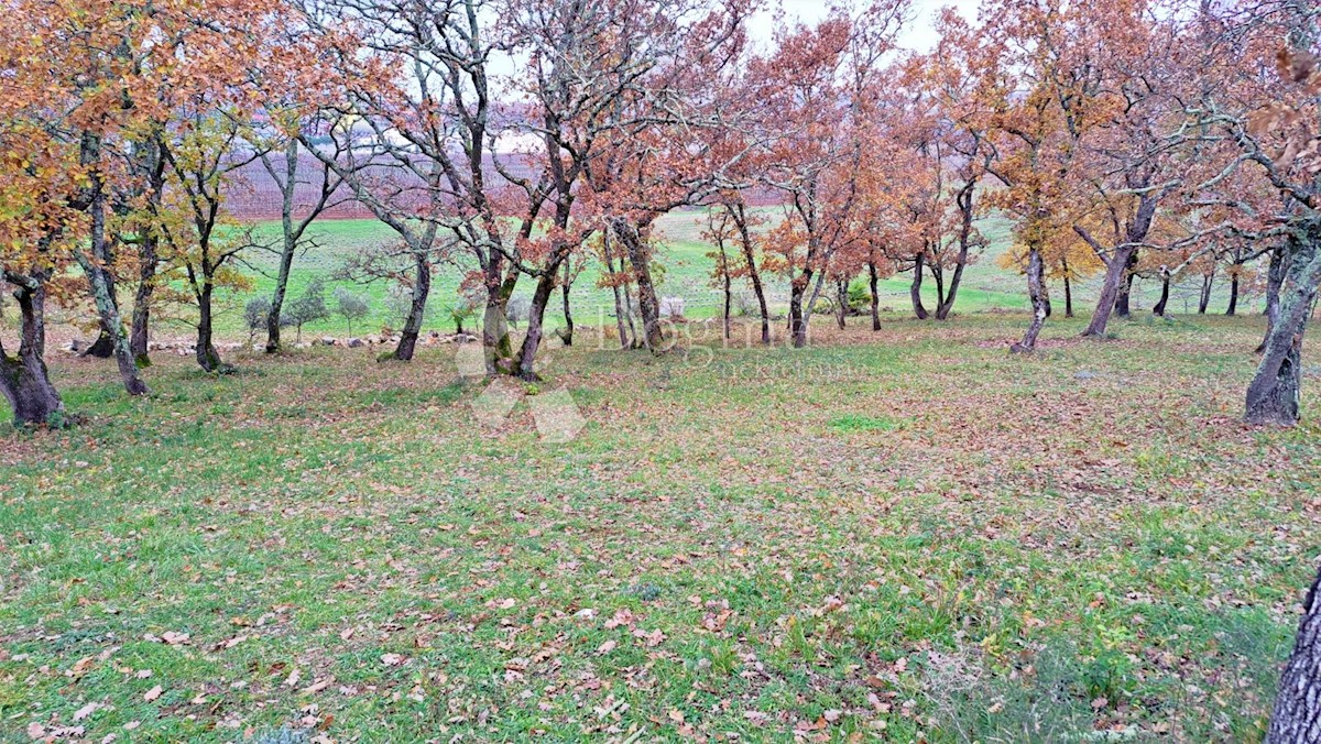 Terreno Funtana, 35.000m2