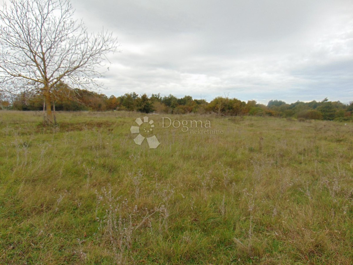 Terreno Žminj, 15.136m2