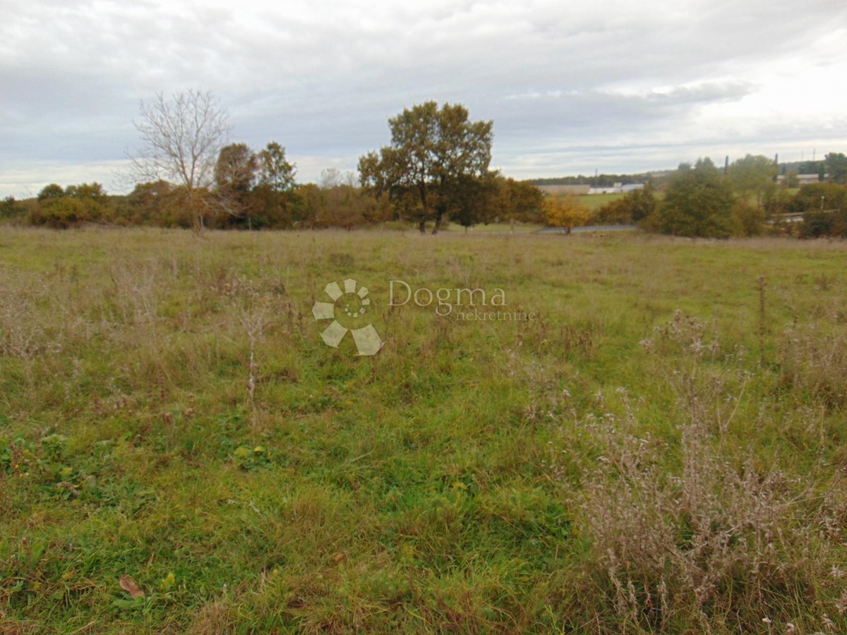 Terreno Žminj, 15.136m2