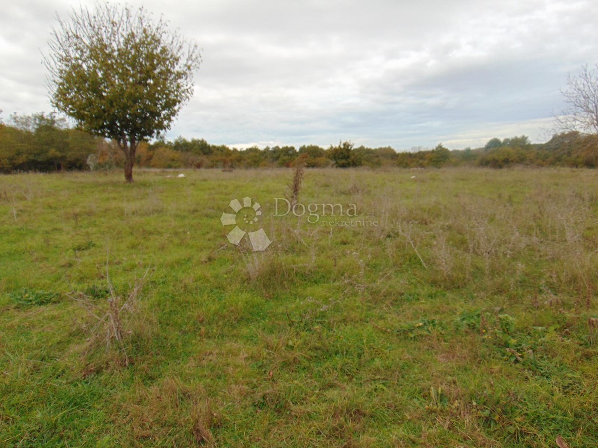 Terreno Žminj, 15.136m2