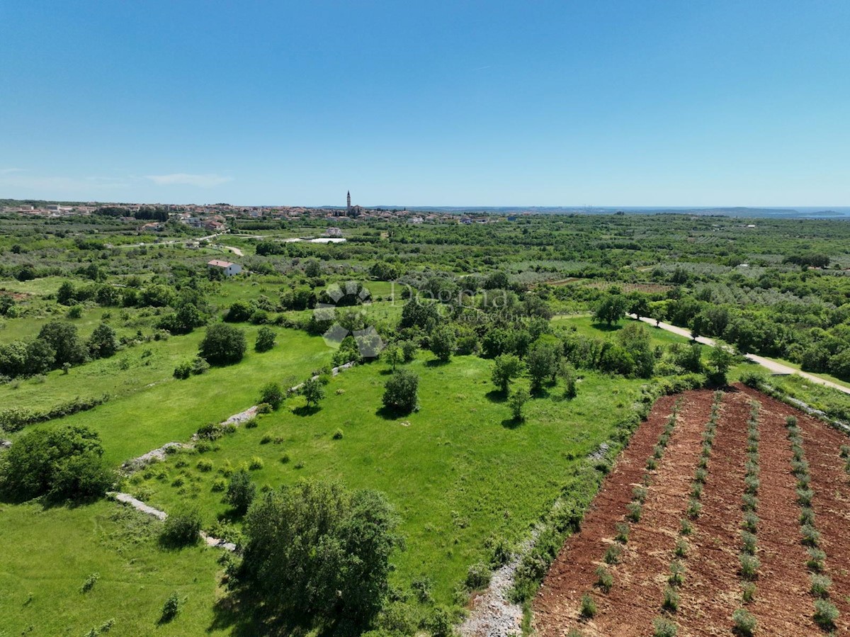 Terreno Vodnjan, 3.560m2