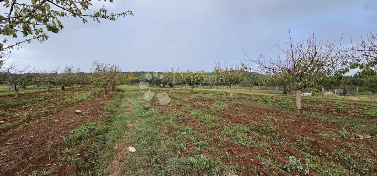 Terreno Debeljak, Sukošan, 870m2