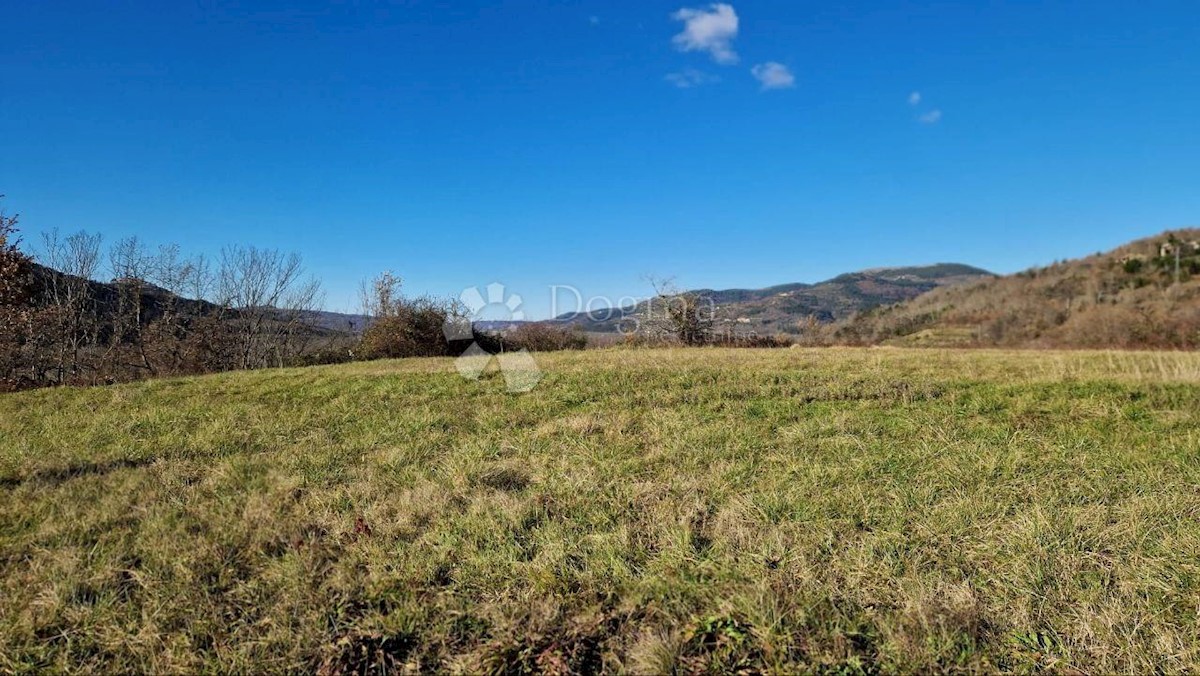 Terreno Sovinjska Brda, Buzet, 2.380m2