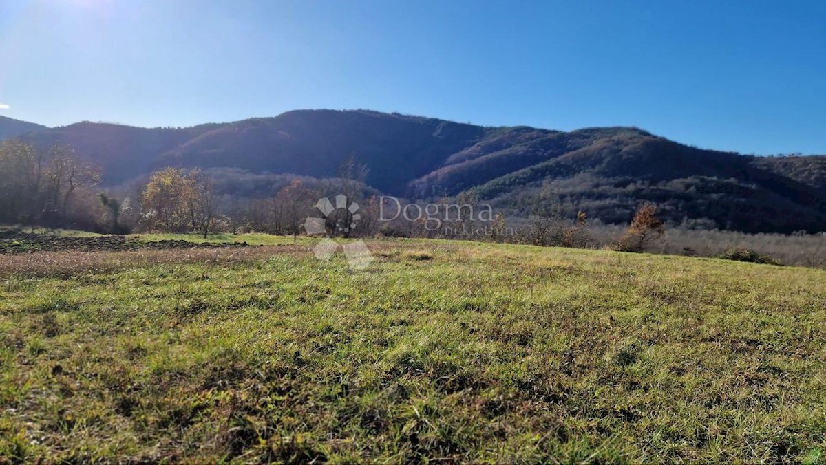 Terreno Sovinjska Brda, Buzet, 2.380m2