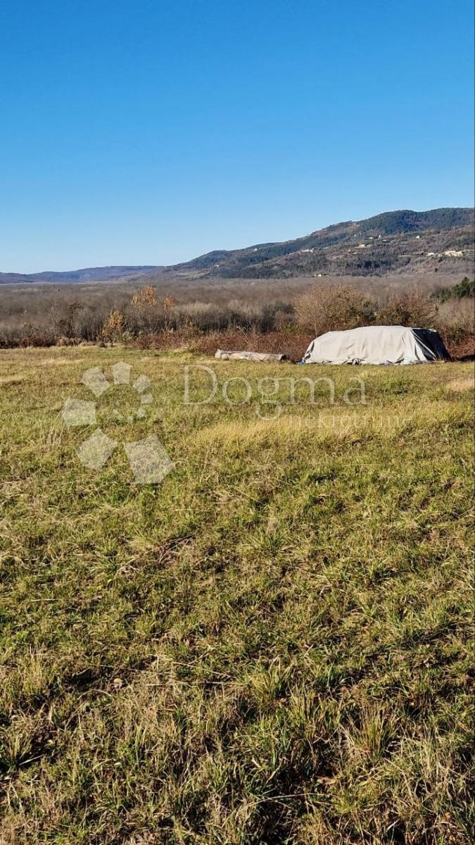 Terreno Sovinjska Brda, Buzet, 2.380m2