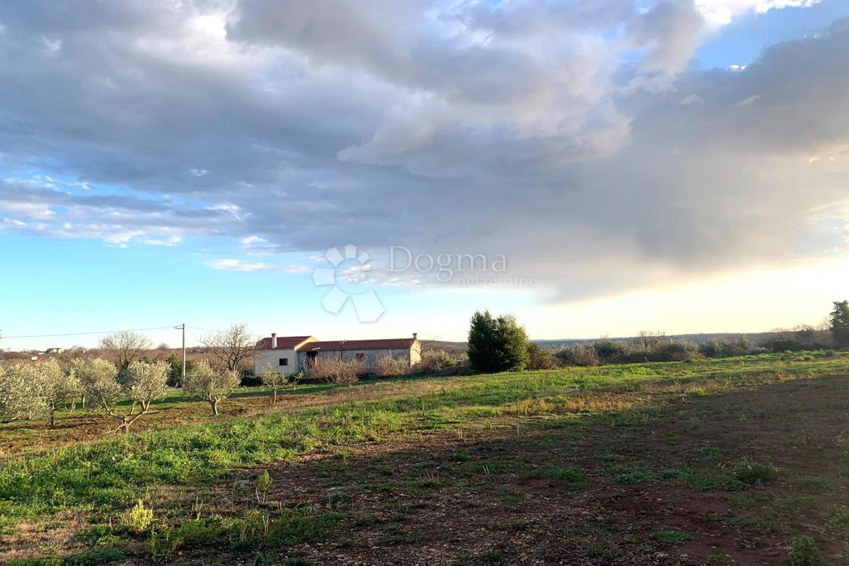 Terreno Krnica, Marčana, 1.060m2