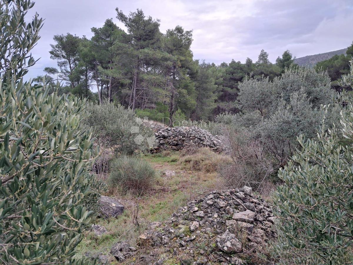 Terreno Humac, Jelsa, 27.244m2