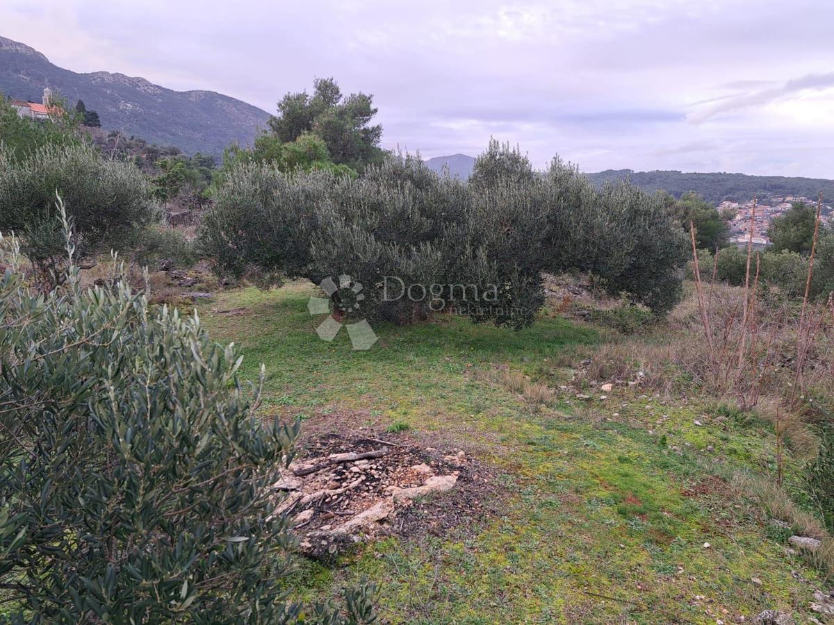 Terreno Humac, Jelsa, 27.244m2