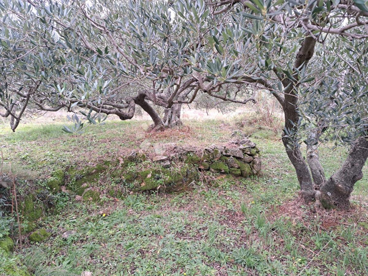 Terreno Humac, Jelsa, 27.244m2