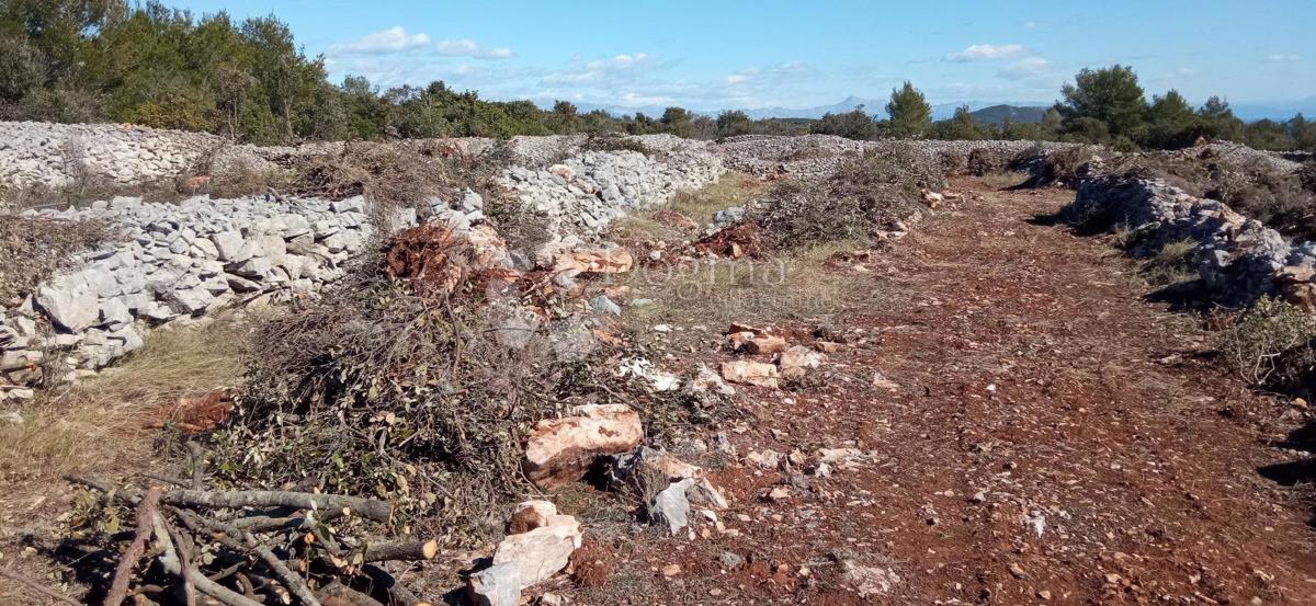 Terreno Humac, Jelsa, 27.244m2