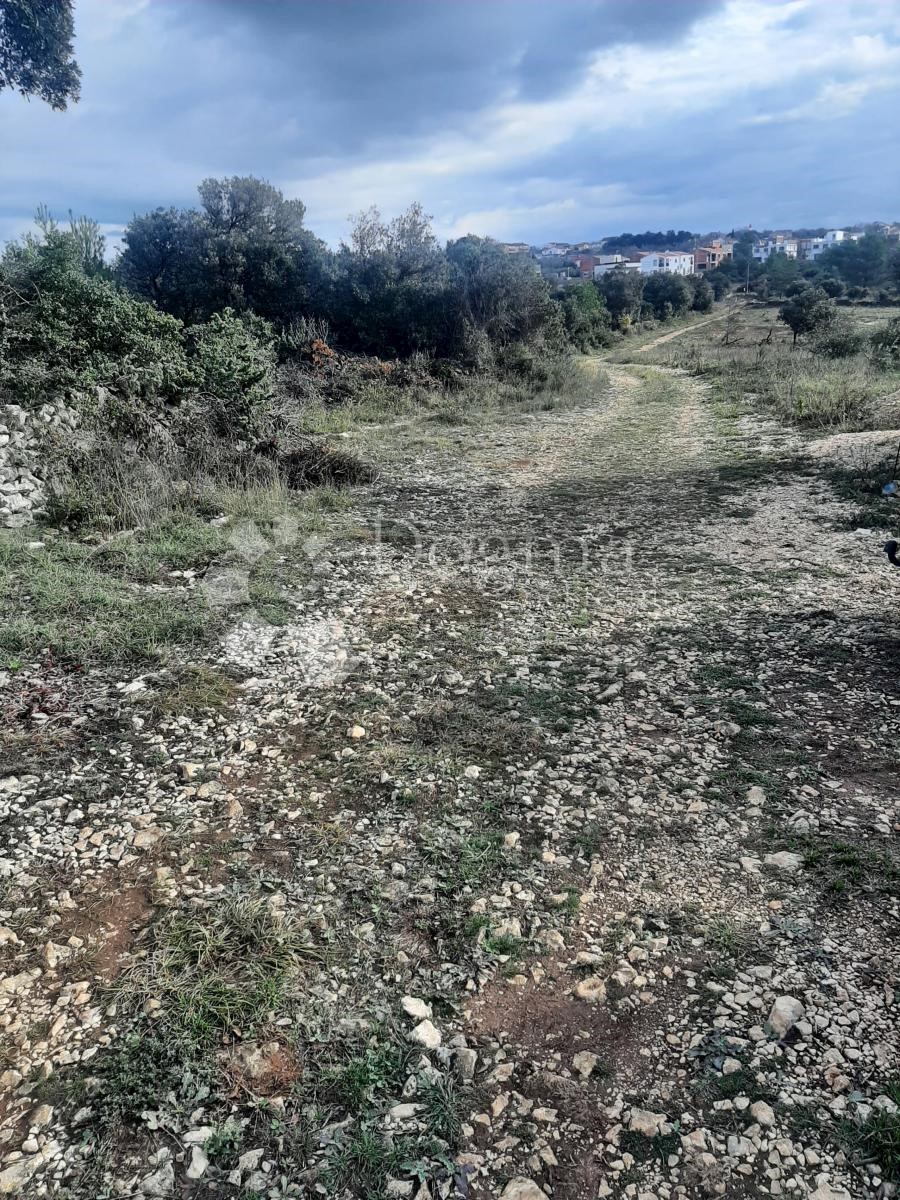 Terreno Mulo, Vrsi, 1.109m2