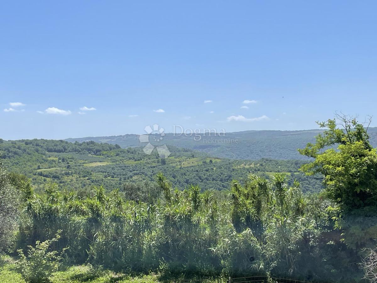 Terreno Buje, Buje, Buje, Istarska županija, 2.181m2