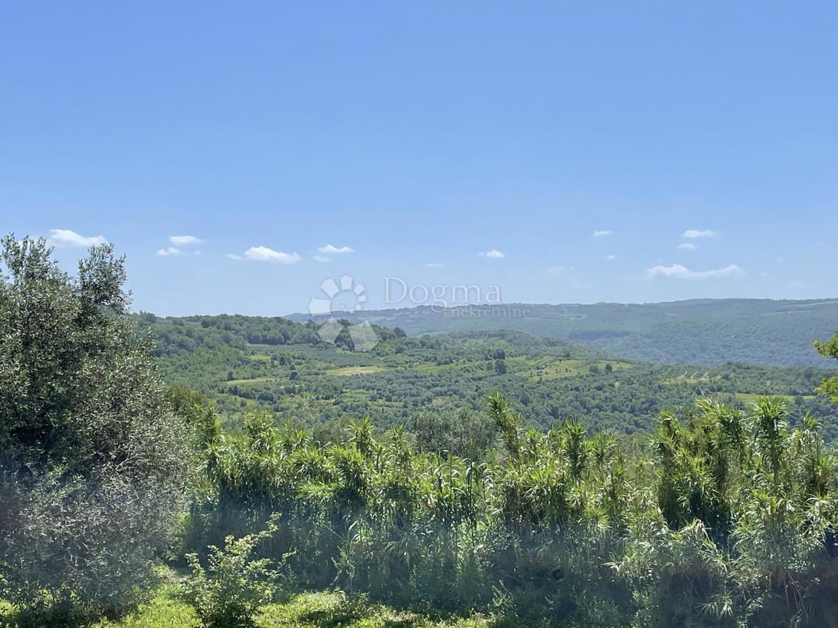 Terreno Buje, Buje, Buje, Istarska županija, 2.181m2