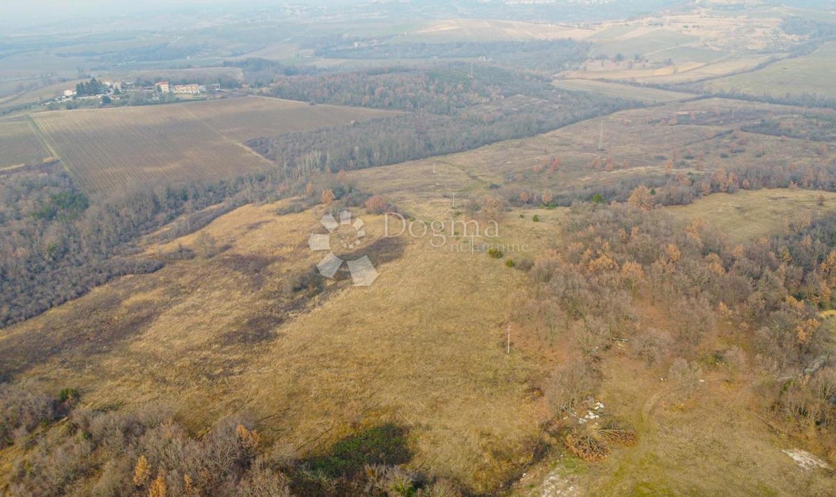 Terreno Brtonigla, 658m2