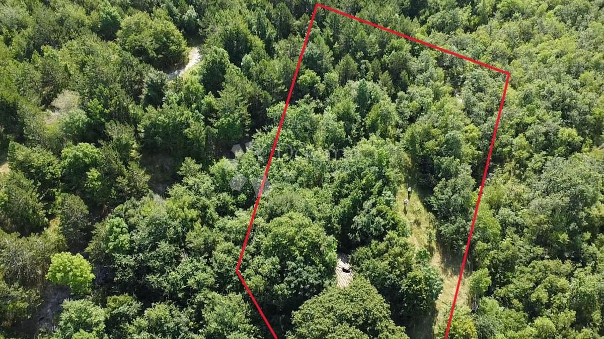 Casa Vranja, Lupoglav, 55m2