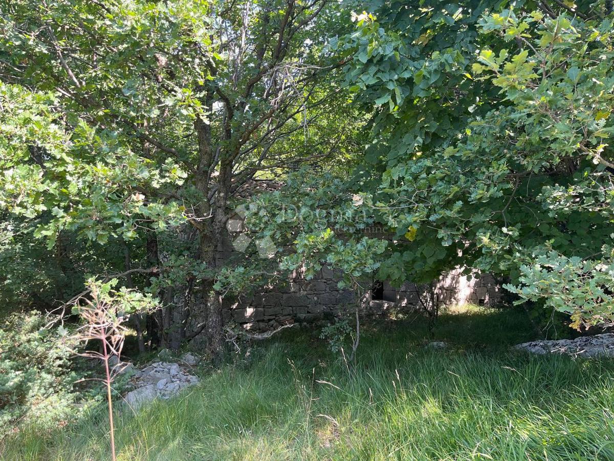 Casa Vranja, Lupoglav, 55m2