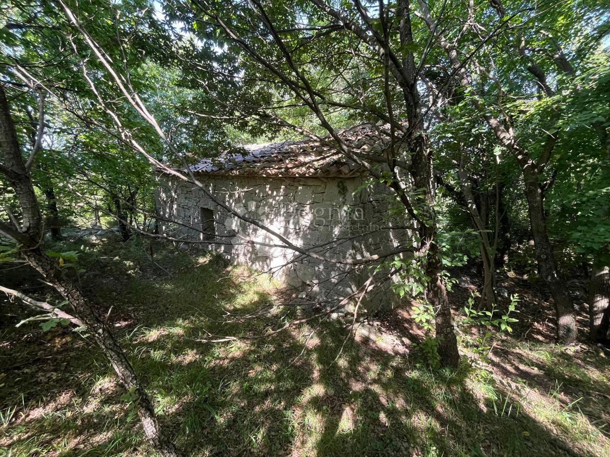 Casa Vranja, Lupoglav, 55m2