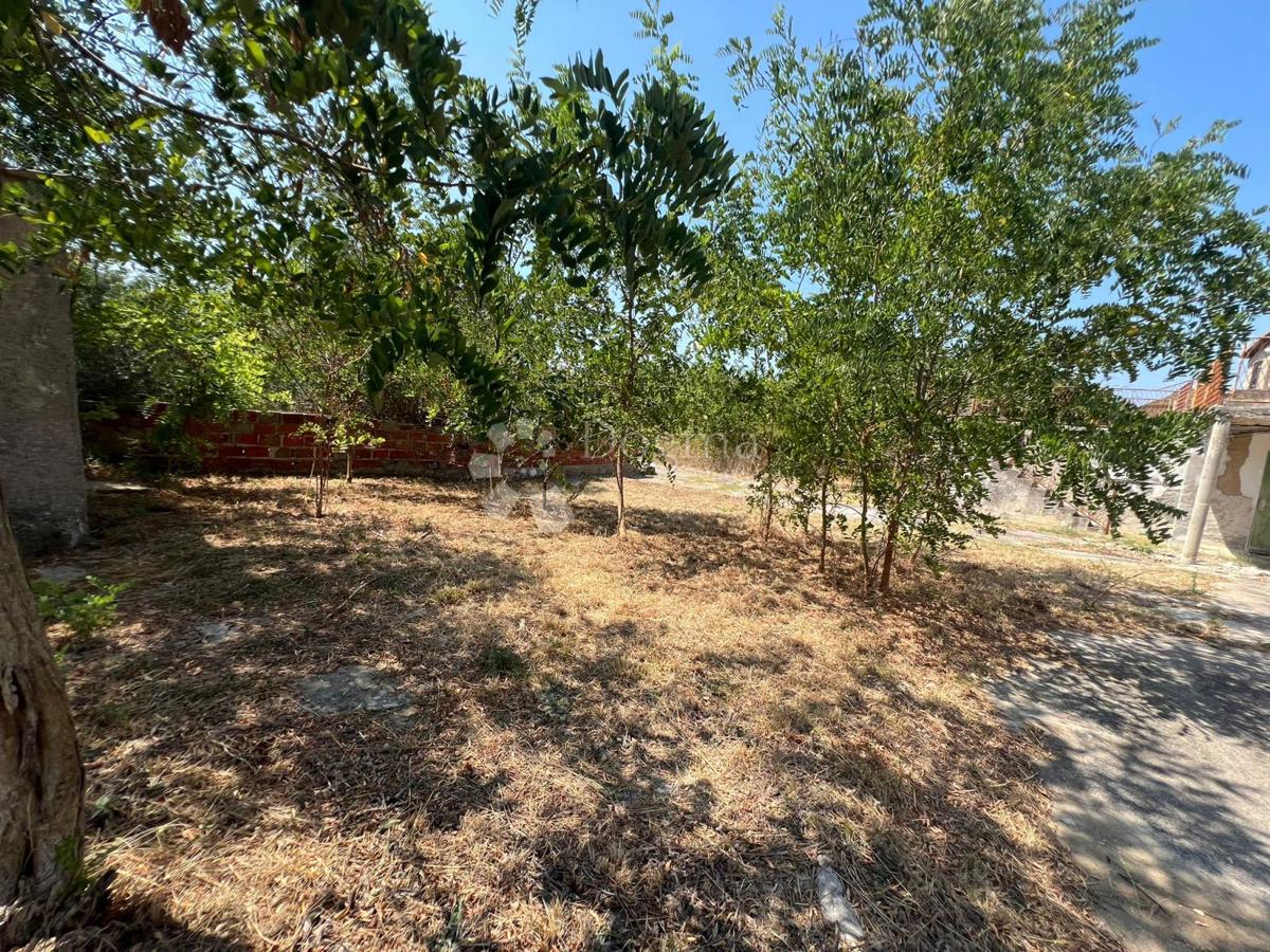 Casa Vrsi, 219m2