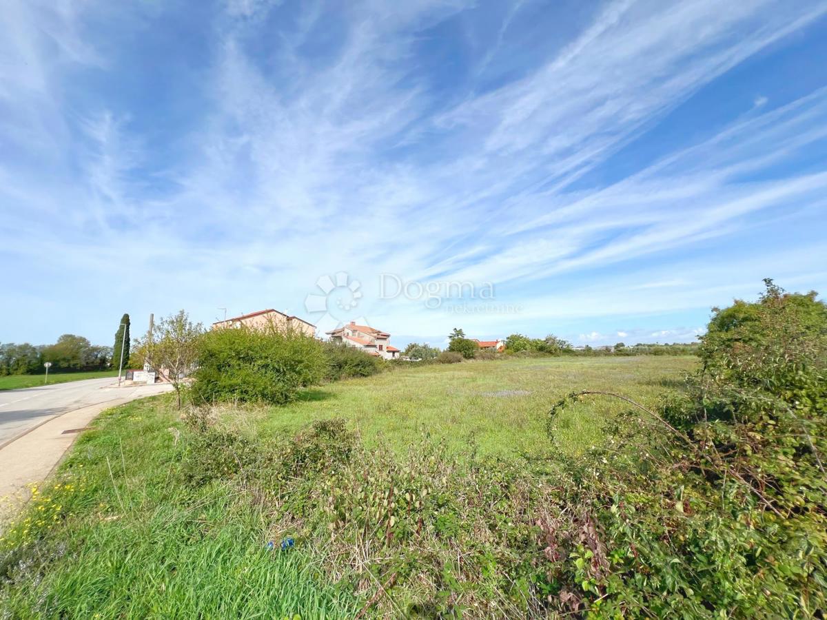 Terreno Vodnjan, 5.000m2