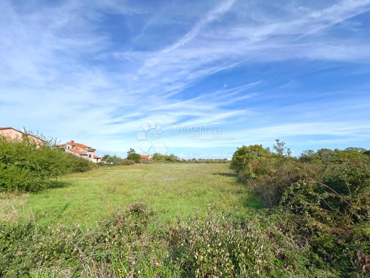 Terreno Vodnjan, 5.000m2