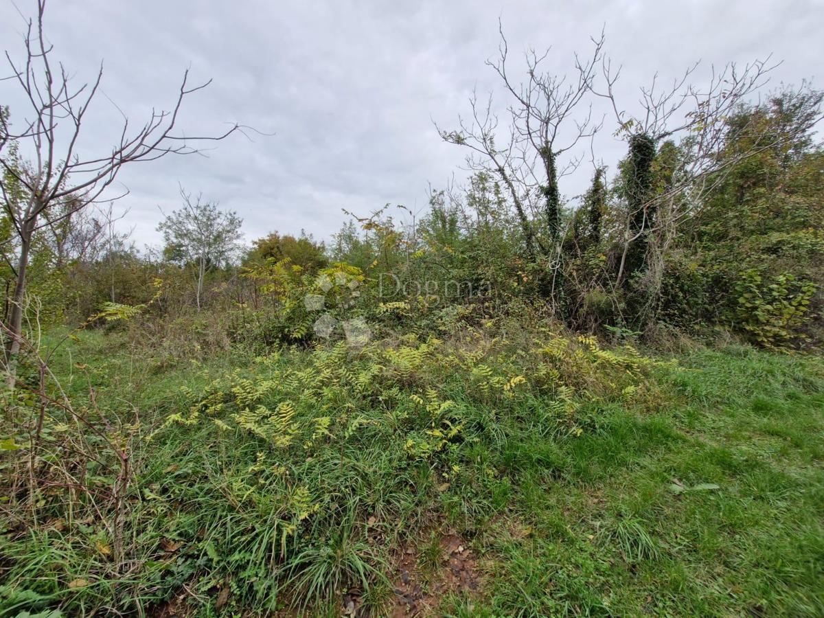Terreno Grandići, Barban, 1.100m2