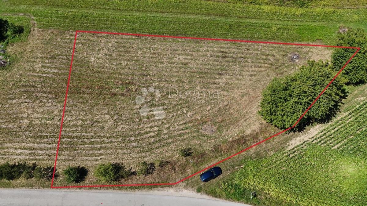 Terreno Drežnik Grad, Rakovica, 1.531m2